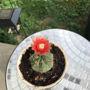 Meet your Posher, Ashlie